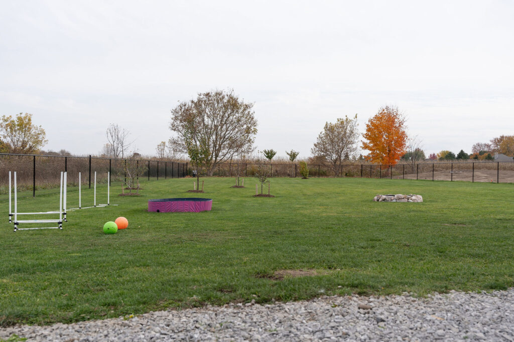 Dog daycare services serving Brantford. Brant County and Mount Pleasant